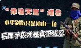 缅北被害人爆料事件视频,揭露黑暗势力下的生存困境